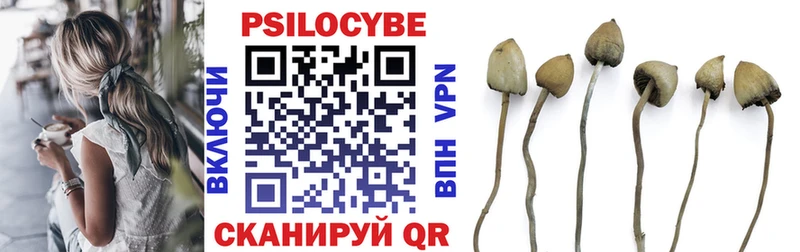 Галлюциногенные грибы ЛСД Яхрома
